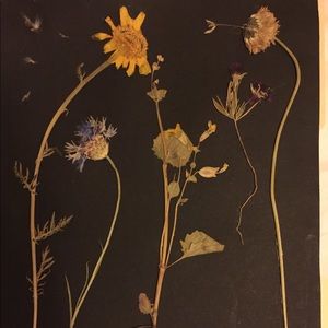 Meet your Posher, Daniela